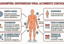 Veracruz, con 65 casos de tos ferina; aumentan enfermedades prevenibles por vacunación
