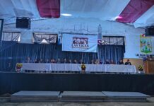 Las Vigas, el inicio / Enrique Yasser Pompeyo