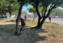 Inició la dignificación de los espacios públicos de la ciudad de Veracruz