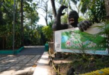 Cierre temporal del Zoológico “Miguel Ángel de Quevedo” por Frente Frío No. 27