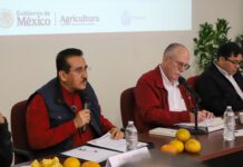 SADER y Sedarpa anuncian Plan para recuperar la citricultura en la zona norte