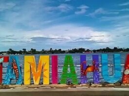 Tamiahua, la extraordinaria / Enrique Yasser Pompeyo