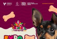 Corte Real del Carnaval de Veracruz 2026 participará en la Expo Adopta