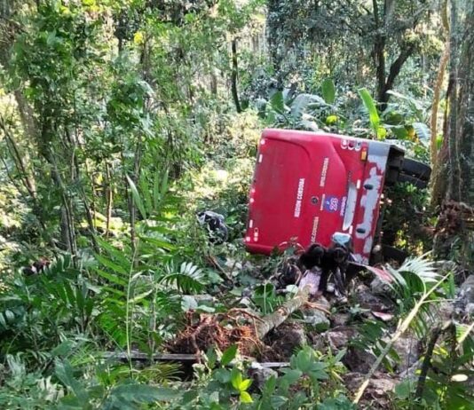 Autobús cae a un barranco en Naranjal; tres estudiantes fueron hospitalizados