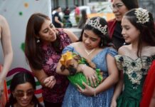 Ocho perritos ya tienen un hogar gracias a la Expo Adopta y la Corte Real del Carnaval de Veracruz 2026