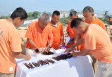 Proyecto Xanath, cultivo de vainilla para la reinserción social: SSP