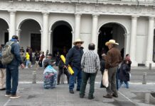 Cafetaleros de Coatepec denuncian «invasión» de café asiático y exigen frenar importaciones desleales