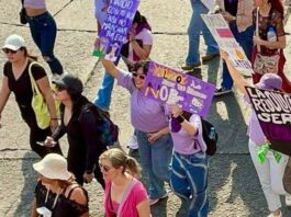 Red Nacional de Refugios alerta: nuevos lineamientos federales precarizan la protección