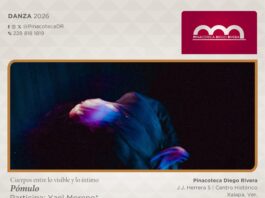 Asiste al ciclo escénico de danza: Cuerpos entre lo visible y lo íntimo en la Pinacoteca