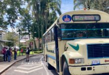 Modernizan transporte en Xalapa y hay posibilidad de alza al pasaje