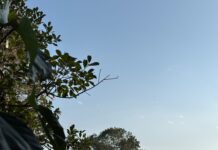 Calor histórico en Veracruz: Xalapa roza los 30 grados y Orizaba rompe récord de 1961