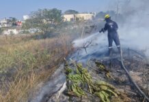 Reporta Ayuntamiento de Veracruz saldo blanco por incendios de pastizales