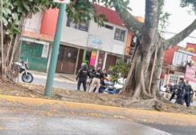 Persecución y balacera culminan con detención de pareja tras asalto en Xalapa