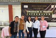 Orquídeas, Coatepec y Teocelo / Enrique Yasser Pompeyo