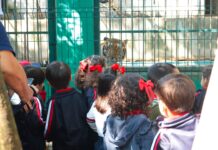 Fortalece Ayuntamiento de Veracruz la educación ambiental en el zoológico Miguel Ángel de Quevedo