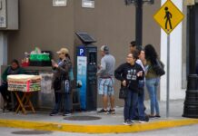 No habrá cobro de parquímetros el lunes 2 de febrero en la ciudad de Veracruz