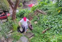 Se realizó jornada de descacharrización en la colonia Arroyo Blanco, Xalapa