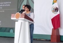 Requieren reubicación más de 4 mil familias damnificadas por las lluvias en Veracruz: Sedatu