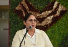 Más de 650 docentes veracruzanos aspiran a la Medalla Maestro Altamirano