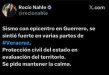 Sismo con epicentro en Guerrero se percibe en Veracruz; autoridades evalúan posibles afectaciones
