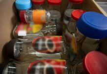 Facultad de Medicina Xalapa fomenta reciclaje con acopio permanente de residuos