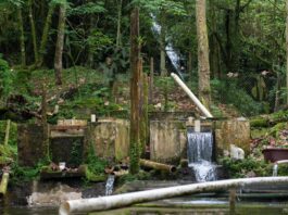 SECTUR inicia visitas a Experiencias Turísticas Comunitarias de la zona centro de Veracruz