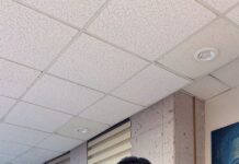 Regularización de predios y espacios públicos, clave para el desarrollo urbano en Veracruz: Elizabeth Morales