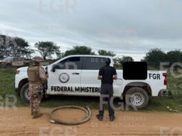 FGR localiza e inhabilita toma clandestina de hidrocarburo en Ciudad Isla