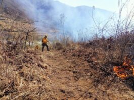 Incendios forestales, el viacrucis de cada año / Yamiri Rodríguez Madrid