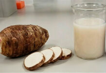 Alumno UV estudia la malanga para tratar síndrome metabólico