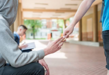 Narcomenudeo en Veracruz: más de 200 carpetas de investigación cada mes