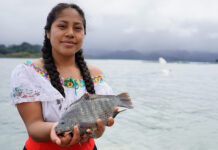 Conapesca cierra 2025 con resultados positivos en pesca sostenible: en Veracruz capacitó a camaroneros