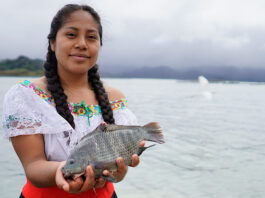 Conapesca cierra 2025 con resultados positivos en pesca sostenible: en Veracruz capacitó a camaroneros
