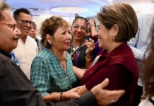 Protección animal en la ciudad de Veracruz: esfuerzo compartido entre sociedad y gobierno