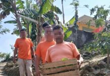 Reinserción social, un nuevo modelo veracruzano / Yamiri Rodríguez Madrid