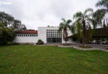 A partir de Yanga, el Museo Regional de Palmillas recupera el tema de la afrodescendencia en Veracruz