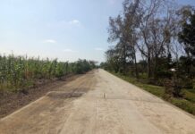 Nuevo camino artesanal en Veracruz