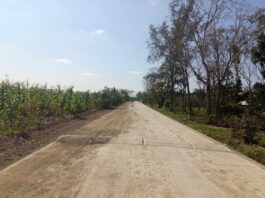 Nuevo camino artesanal en Veracruz