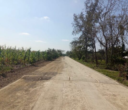 Nuevo camino artesanal en Veracruz