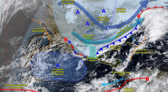 Captura de pantalla 2026-01-31 161648