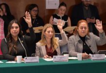 Legisladores veracruzanos participan en reunión de la Comisión de Desarrollo Urbano