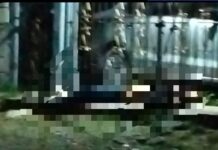 Hombre es asesinado en domicilio de Álamo Temapache