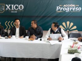 Seguridad en municipios / Enrique Yasser Pompeyo