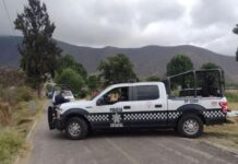 Asesinan a Raúl Hernández, hermano de la exalcaldesa de Mixtla de Altamirano