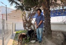 Deportan a migrante xalapeño; quedó varado en Tampico con sus tres perros