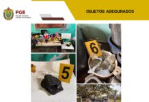 Diligencia de cateo en La Antigua deriva en aseguramiento de presunta droga y cartuchos