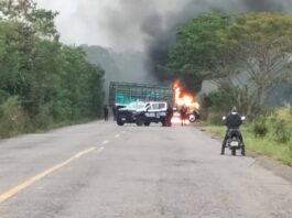 Horas violentas / Luis Alberto Romero