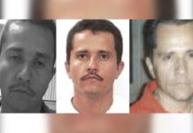 Se acabaron los abrazos; ¿La caída del último gran capo? / Pablo Jair Ortega