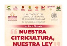 Anuncia Comisión Especial foros de consulta para Ley Citrícola