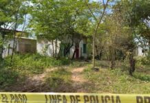 Identifican a cuatro víctimas en fosas de Jáltipan